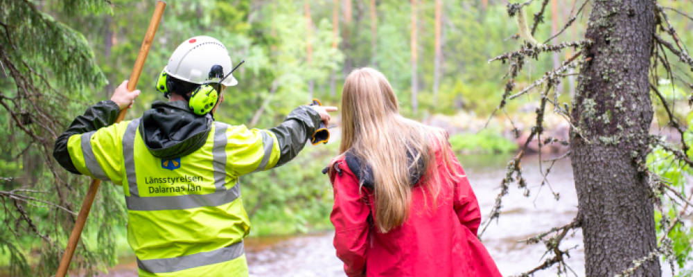 Naturvårdsgymnasiet får klartecken av Skolverket och Skolinspektionen för start hösten 2026 Fotograf/Källa: Hanna Johansson, Älvdalens Utbildningscentrum