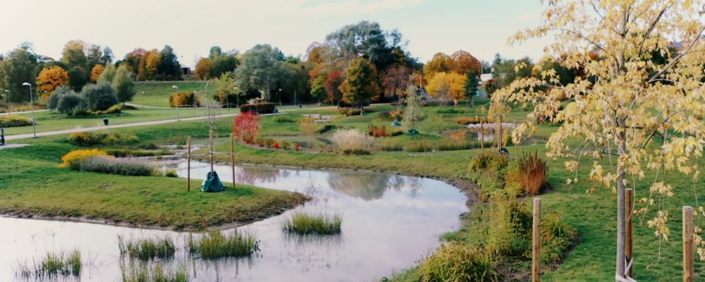 Ängsholmsdammen. Foto: Svenskt Vatten