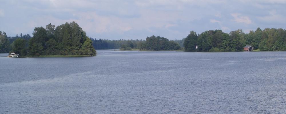 Sjön Bolmen Foto: Eddie001/Wikimedia Commons/https://commons.wikimedia.org/wiki/File:Bolmen_in_Piksborg.JPG