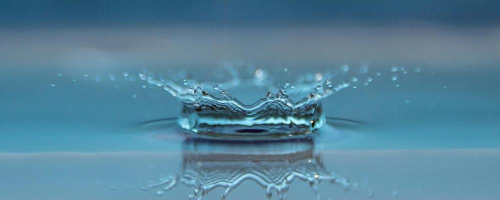 Decentraliserad gråvattenrening i fokus. Foto: Rånäs Bruk