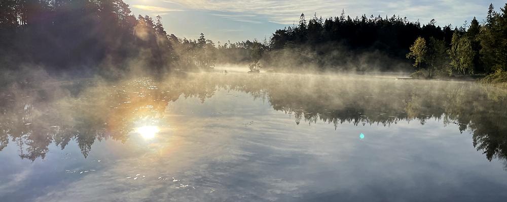 Nationell kvävebudget visar stora flöden till vatten Foto: Filip Moldan/IVL