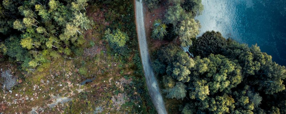 Gävle. Foto: Giovanni Bianchi/Unsplash