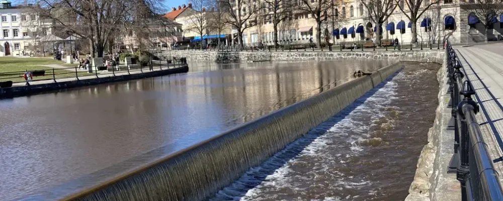 Faunapassager i Västerås. Foto: Susanna Hansen