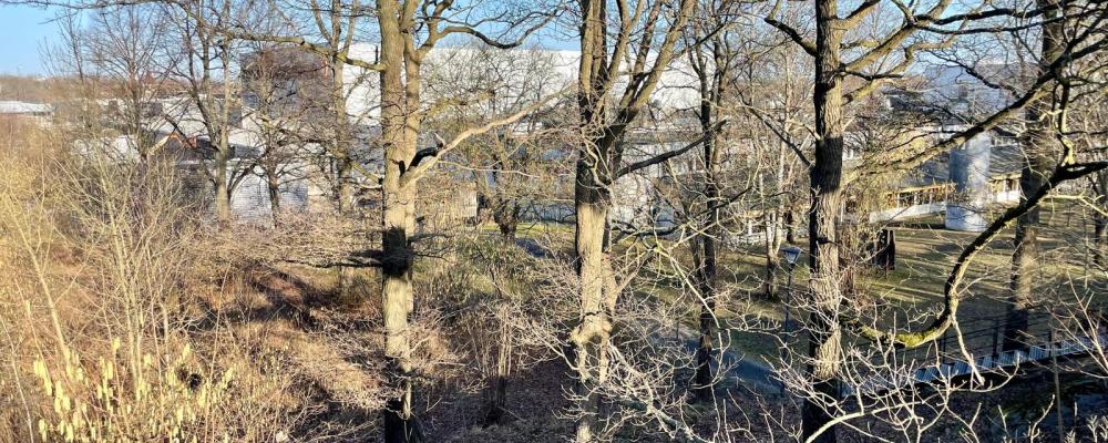 Bygget av den nya gula linjen – tunnelbanesträckan mellan Älvsjö och Fridhemsplan – prövas nu miljömässigt. En av stationerna planeras att byggas i anslutning till Stockholmsmässan. Foto: Stina Wickenberg