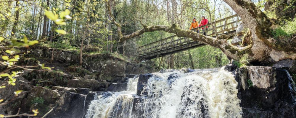 I Simrishamns kommun fördubblas befolkningen varje sommar. Över två miljoner besökare ökar trycket på vattenresurserna just när grundvattennivåerna är som lägst. Effekterna märks genom att begränsningar i vattenanvändning påverkar alla. Foto: Apelöga