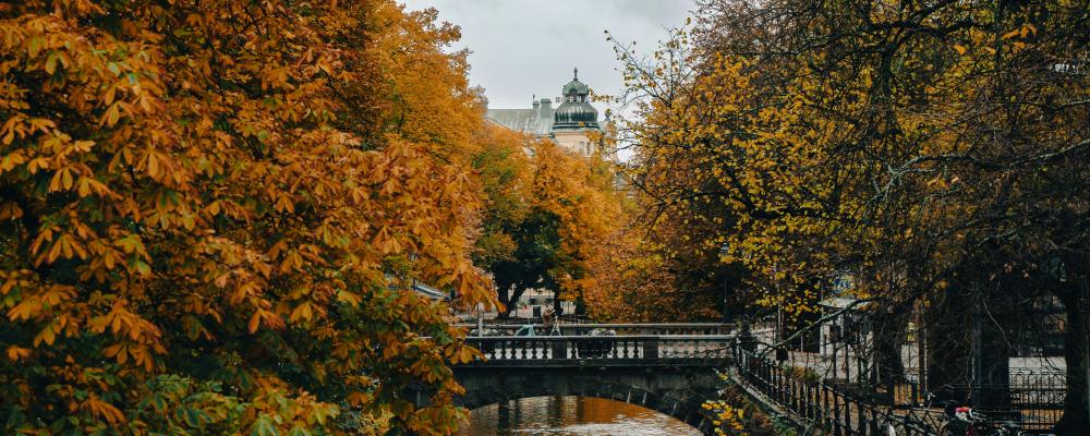 Uppsala. Foto: Ayadi Ghaith/Unsplash