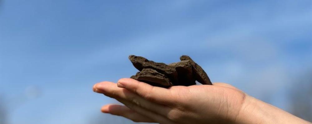 Hydrokol Foto: C-Green