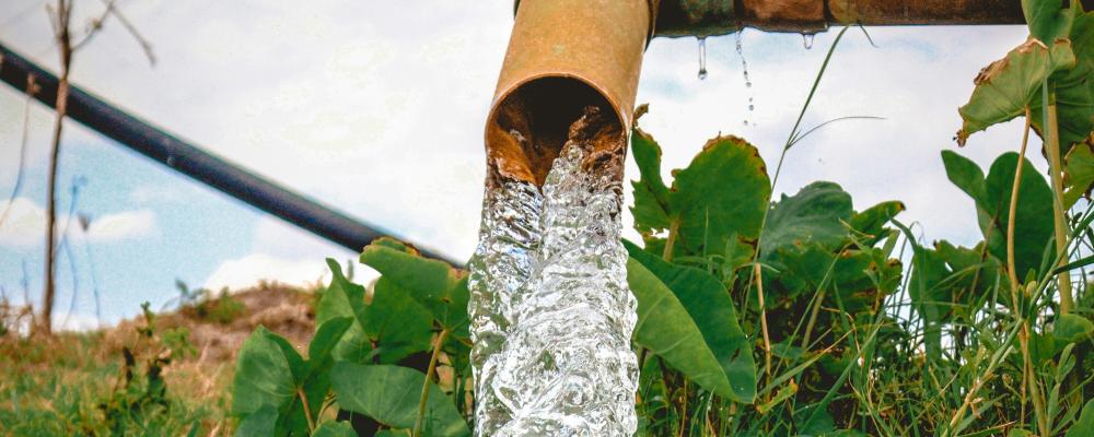 Kramfors kommun inleder pilotprojekt med syftet att utvärdera avancerad PFAS-rening av lakvatten från en av kommunens avfallsanläggningar. Foto: gowtham agm /unsplash