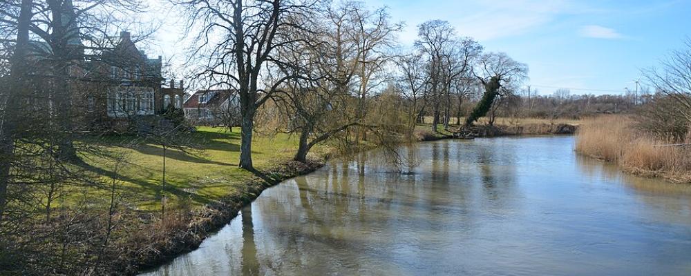 Saxån nära Häljarp i Skåne 2019. Foto: Bengt Oberger/Wikimedia Commons/https://commons.wikimedia.org/wiki/File:Sax%C3%A5n_vid_H%C3%A4ljarp.jpg