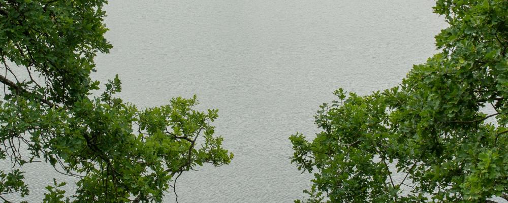 Mälaren. Foto: Margo Evardson/Unsplash