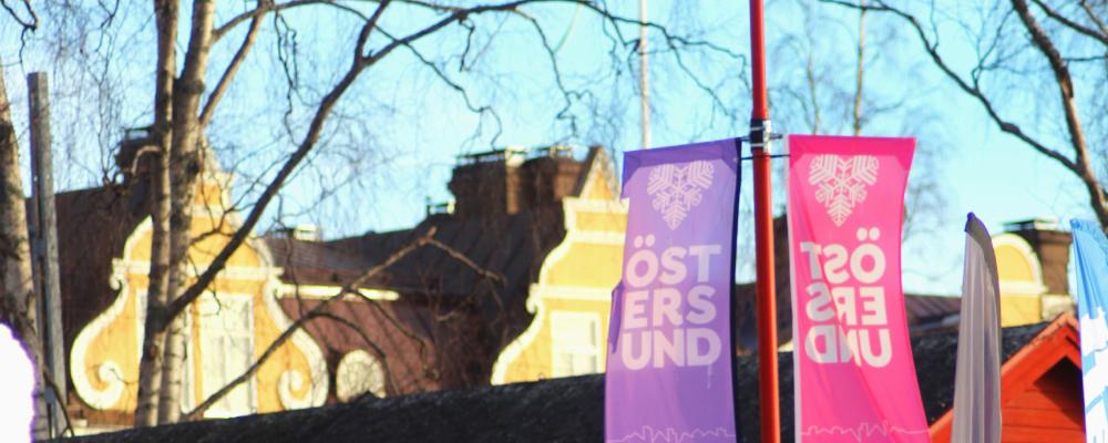 Utifrån granskningsrapporten beslutar Östersunds politiker att beställa en extern utredning ska genomföras för att se över kostnaderna. Foto: I Traore/Unsplash