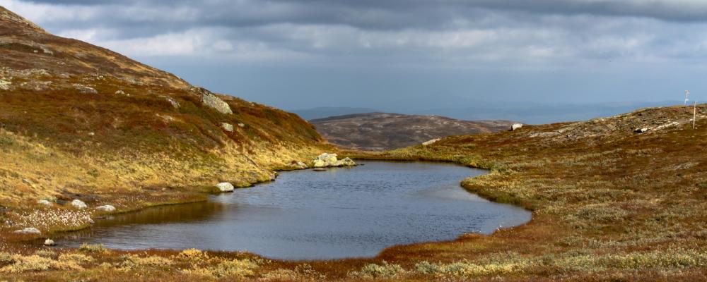 Åre. Foto: Håkon Grimstad/Unsplash