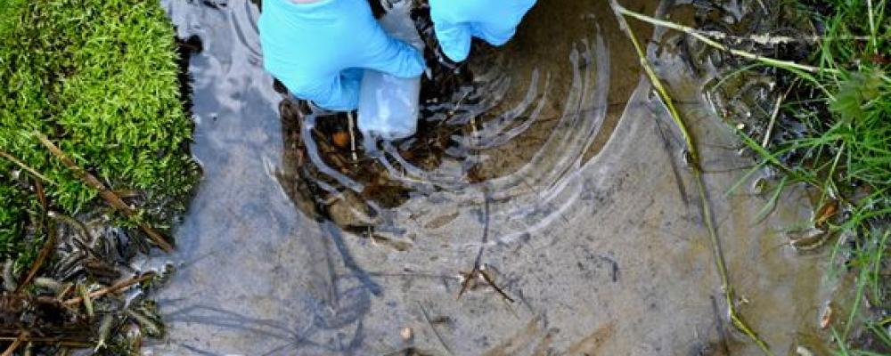 Här provtas grundvatten vid en av de stationer inom miljöövervakningssystemet som har ingått i SGU:s undersökning. Foto: Joel Häggqvist, SGU Foto: sgu