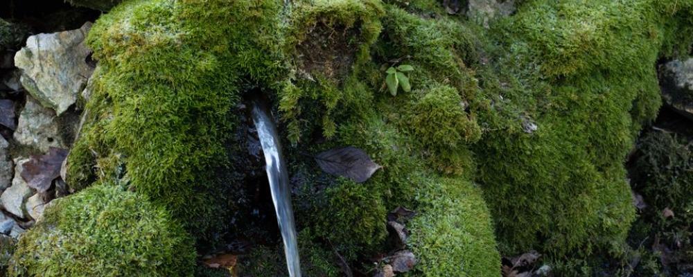 Det vattenlösliga PFAS-ämnet TFA har påträffats i grundvatten i stora delar av Europa. Foto: Kemikalieinspektionen