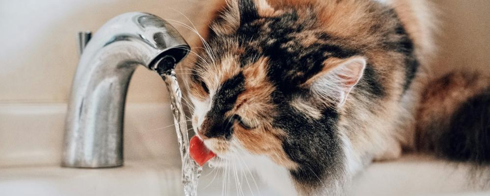 Nya EU-gemensamma krav införsför material i kontakt med dricksvatten. Foto: Sugarman Joe/Unsplash