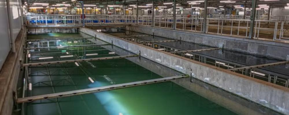 Reningsverkets bassäng. Foto: Karlskoga Energi & Miljö