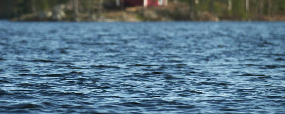 Dalarna Foto: Nils Söderman/Unsplash