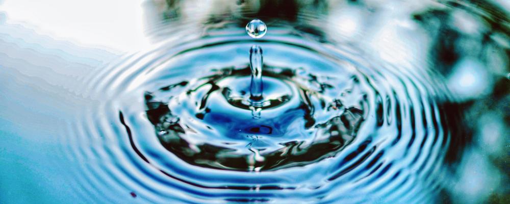 Foto:  jimmy chang /Unsplash