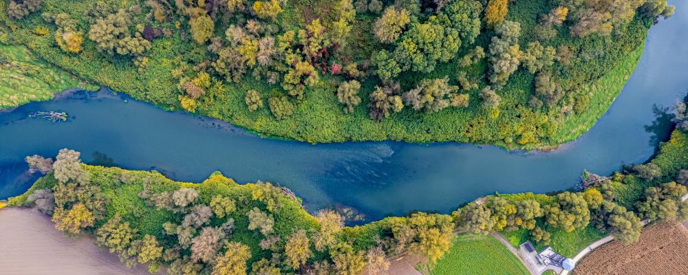 Floden Oder, Polen. Fri användning. Foto: AdobeStock, Franciszek