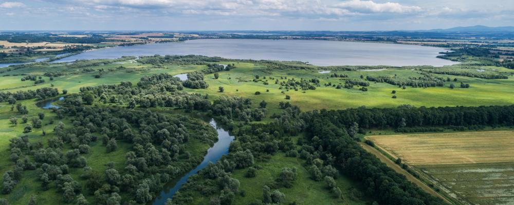 Nysa Kłodzka-floden i Polen. Foto: Sweco