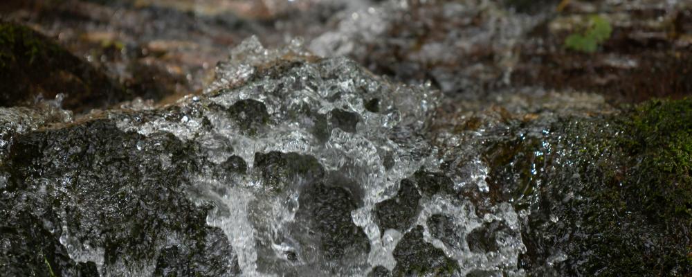 Testeboåns avrinningsområde ligger i Gävleborgs län, huvudsakligen inom Gävle kommun, men sträcker sig även in i delar av Ockelbo och Sandvikens kommuner. Foto: Sergio Zhukov/Unsplash