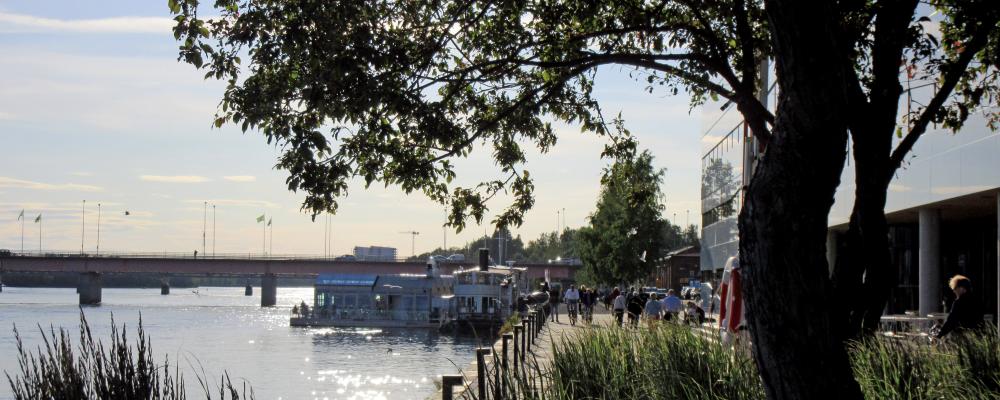 Sommarkväll på kajen i centrala Umeå. Foto: Robert Rösth
