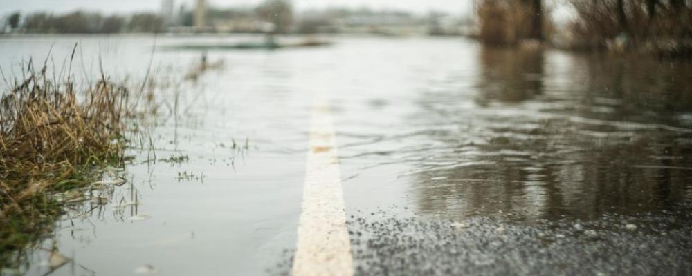Under 2024 anmäldes över 19 500 skadeärenden kopplade till oväder i Sverige, enligt Svensk Försäkring. Stormar, översvämningar och skred har påverkat både bostäder och infrastruktur. Foto: IF