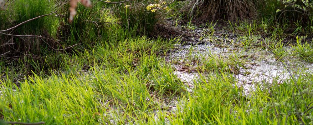 Genrebild. Foto: Christian Krebel