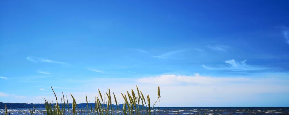 Skummeslövsstrand, Laholm. Foto: Henrik Jönsson/Unsplash