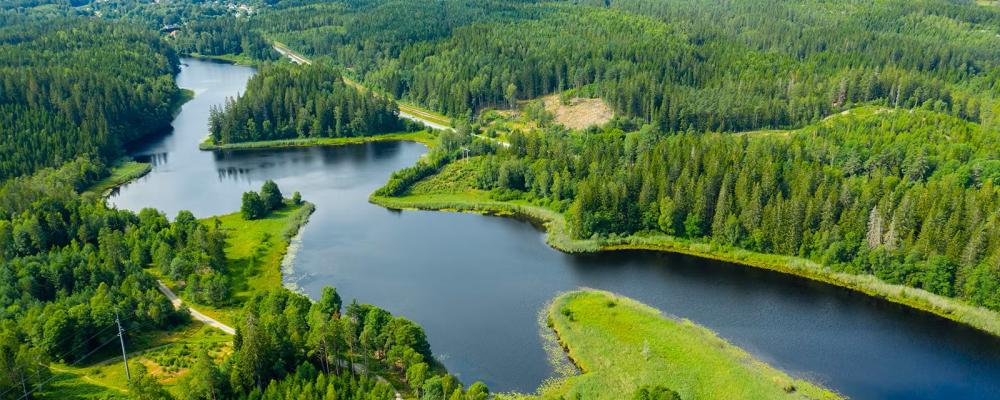 Viskans sediment är kraftigt förorenade, både från tidigare industrier i Borås och från brandövningar vid Guttasjön. Foto: Jan Kansanen, Mostphotos.