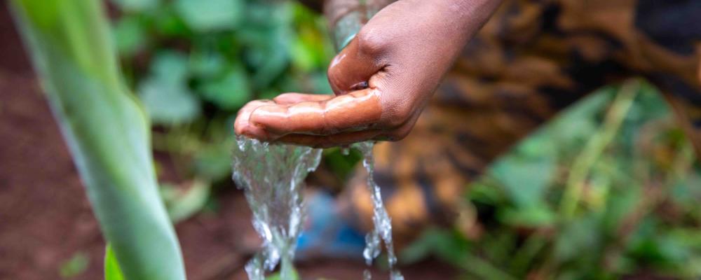 Rapporten visar att närmare tio hektar grundvatten försvinner för varje tusen hektar skog som avverkas. Foto: WaterAid / Frehiwot Gebrewold 