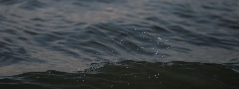 126 kubikmeter orenat avloppsvatten beräknas ha runnit ut i marken. Foto: Mateusz Żochowski/Unsplash