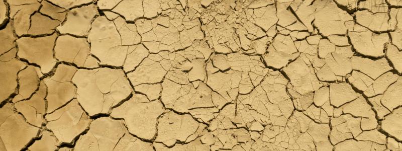 Stora delar av Spanien ha förvandlats till öken vid seklets slut. Bild från Bardenas Reales, Spanien. Foto: Alba Calbetó/Unsplash