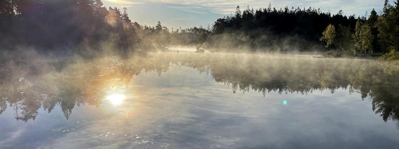 Nationell kvävebudget visar stora flöden till vatten Foto: Filip Moldan/IVL