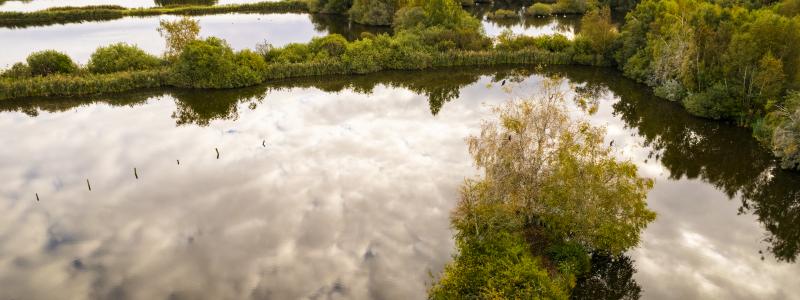 Återvunnet vatten från Magle våtmark kan nu ge liv åt stadens grönska, istället för att tekniska vattnar med dricksvatten. Foto: Hässleholm Miljö