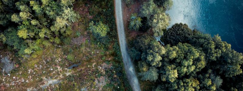 Gävle. Foto: Giovanni Bianchi/Unsplash