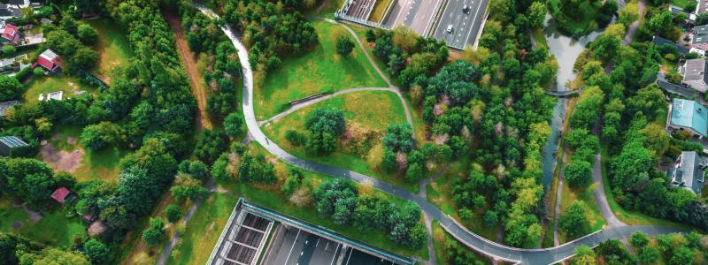 Rapporten “Biodiversity in practice: From loss to gain” är den tredje delen i Swecos Urban Insight-serie om biologisk mångfald. Foto: GettyImages