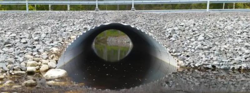 Faunapassage i vatten. Foto: Trafikverket