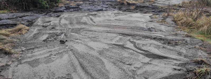 Saneringen bedöms bli omfattande, med cirka 350 lastbilssläp som behöver transporteras bort. Foto: Halmstads kommun