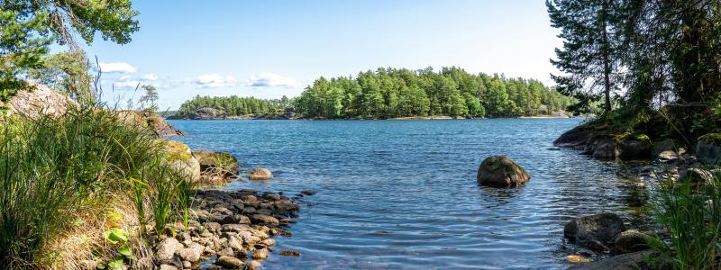 Askersund Foto: Gregor Scheithauer/Unsplash