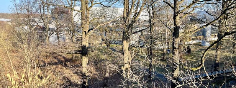 Bygget av den nya gula linjen – tunnelbanesträckan mellan Älvsjö och Fridhemsplan – prövas nu miljömässigt. En av stationerna planeras att byggas i anslutning till Stockholmsmässan. Foto: Stina Wickenberg