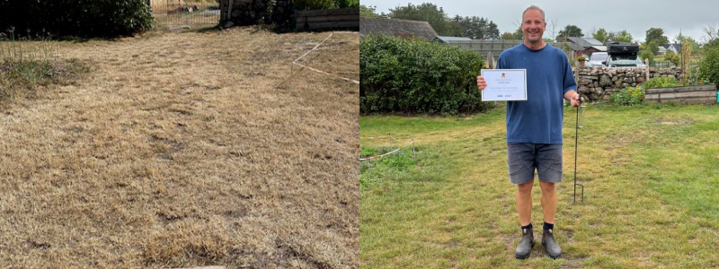 Uwe Deschenhalms gräsmatta lyste gult i solen. Fotograf/Källa: Uwe Deschenhalm