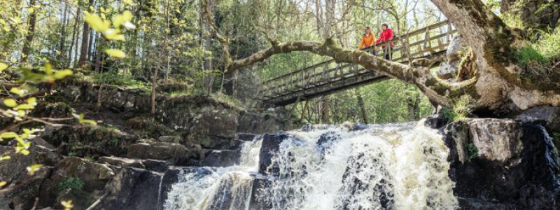 I Simrishamns kommun fördubblas befolkningen varje sommar. Över två miljoner besökare ökar trycket på vattenresurserna just när grundvattennivåerna är som lägst. Effekterna märks genom att begränsningar i vattenanvändning påverkar alla. Foto: Apelöga
