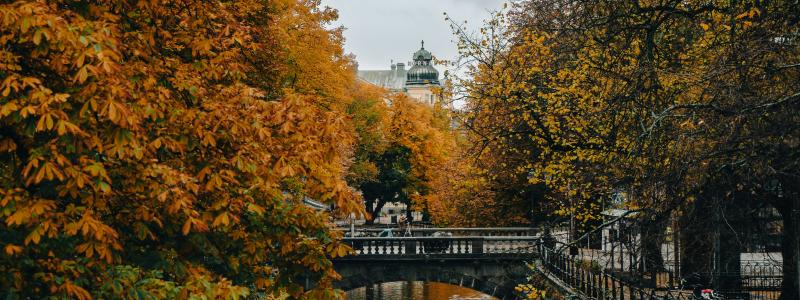 Uppsala. Foto: Ayadi Ghaith/Unsplash