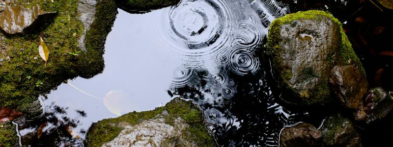 Utsläppet ska ha skett i närheten av Harsagården Foto: Luca Bravo/Unsplash