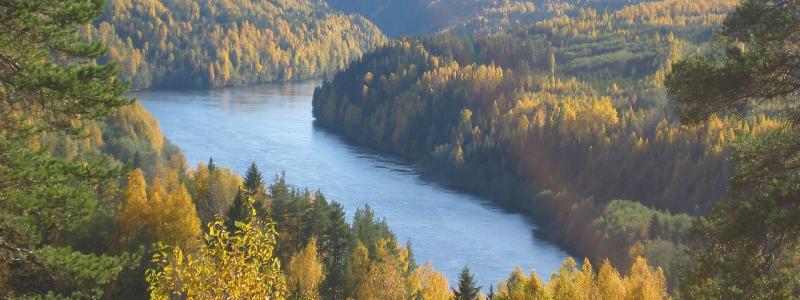 Indalsälven vid Utsikten i Sillre, i Sundsvalls kommun. Det nya vattenrådet omfattar älvens avrinningsområde från fjällområdena i Åre kommun och delar av Norge till kusten vid Timrå och Sundsvall. Foto: Reedhawk/Wikimedia Commons/https://commons.wikimedia.org/wiki/File:Indals%C3%A4lven.jpg