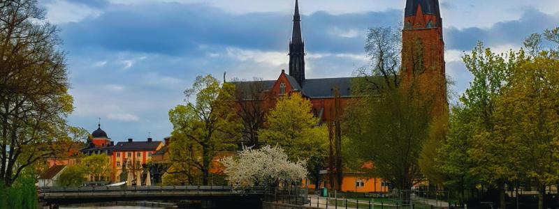 Grundvattennivåerna nådde sin högsta punkt i februari och har sedan dess sjunkit. Foto: ThePowerCouple/Unsplash