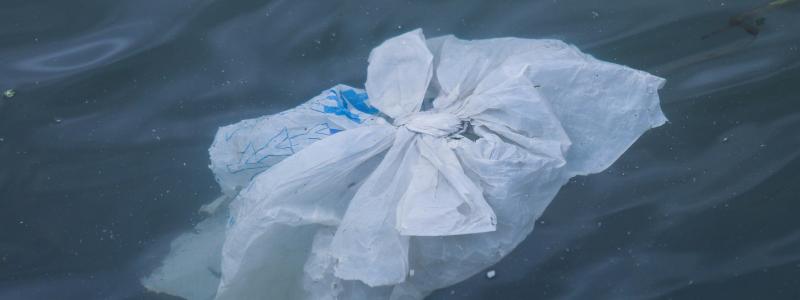 Mikroskopiska plastpartiklar ökar i miljön och har samband med inflammation i tarmarna. De minsta kan även ta sig vidare till andra organ, visar ny studie. Foto: brian yurasits/Unsplash