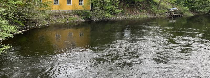 Säveån vid centrala delarna av Lerum. Foto: Norconsult