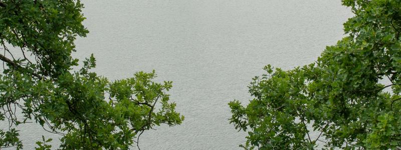 Mälaren. Foto: Margo Evardson/Unsplash